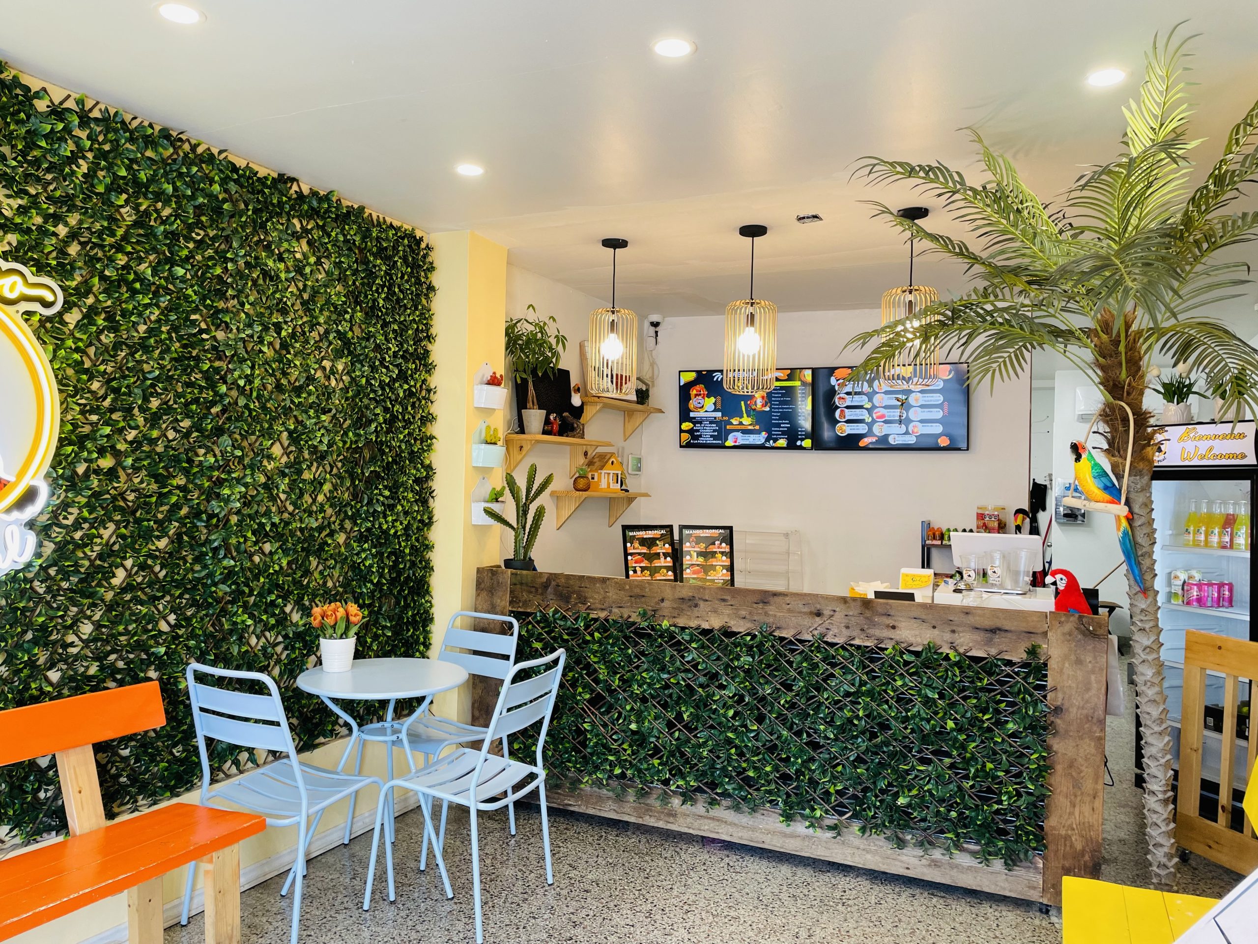 Mango Tropical - Image 2